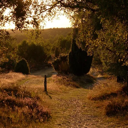 Hotel Hillmers Hoff Pensionrestaurant *